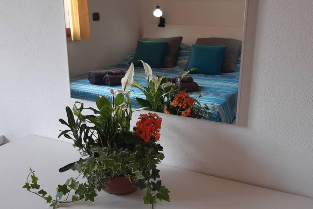 Casa Cao - Grazioso appartamento a Nurachi Esterno foto